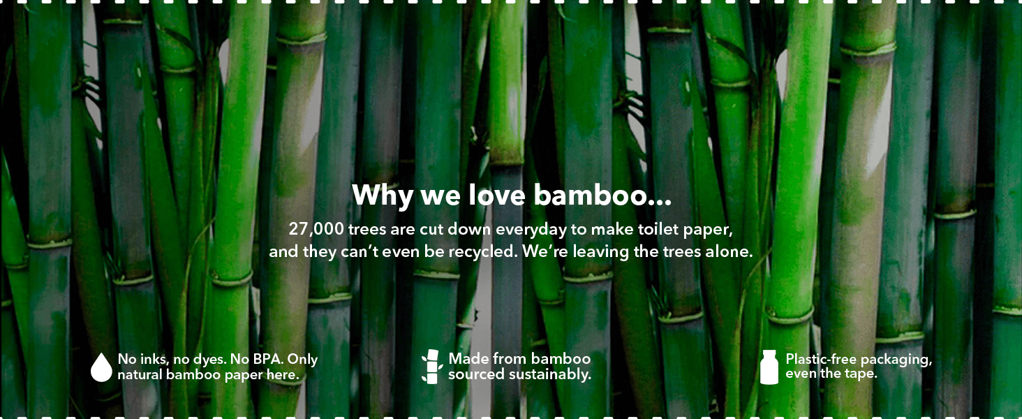 Communicates the brand's commitment to sustainability and eco-friendly practices by highlighting the benefits of using bamboo over traditional paper products. Provides a quantifiable statistic about…