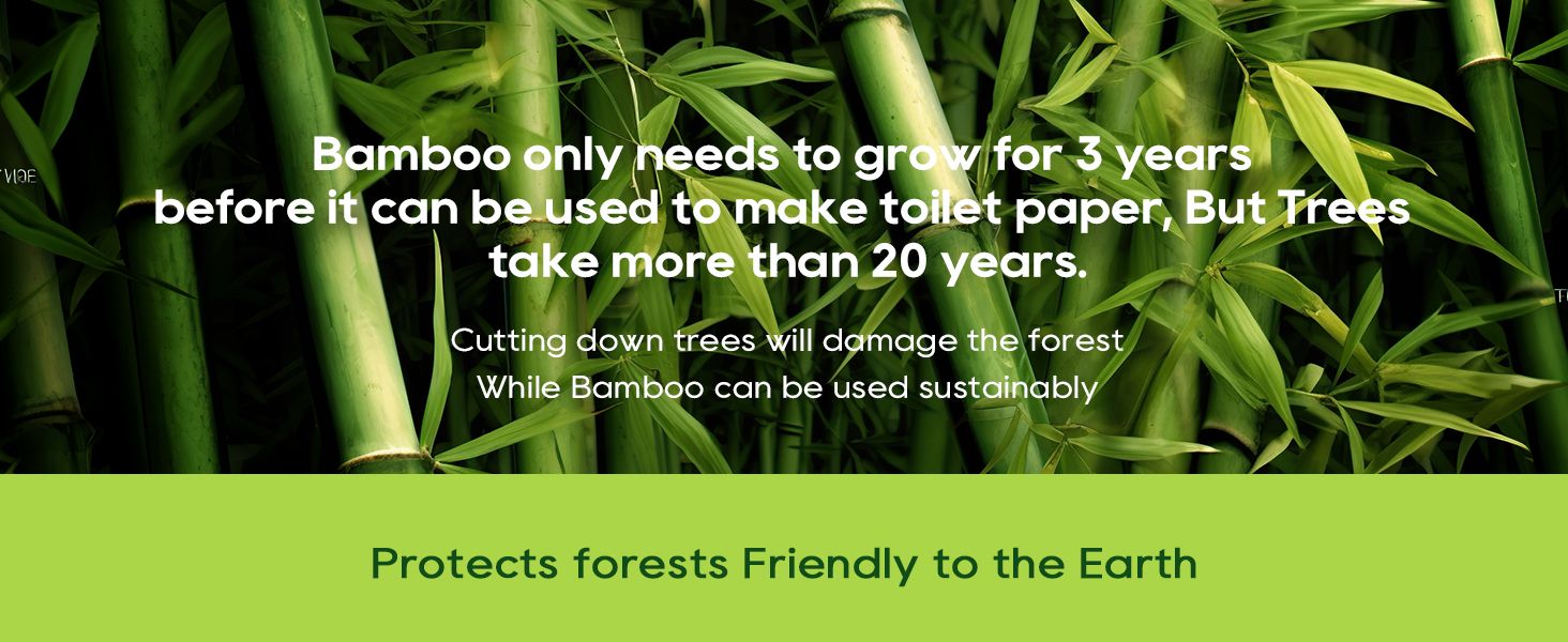 Highlights multiple environmental benefits of using bamboo for toilet paper production compared to trees, emphasizing sustainability and forest protection.