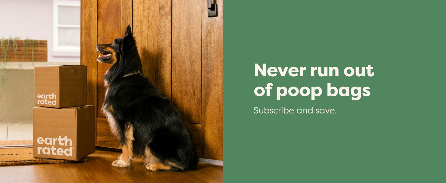 Promotes a subscription service for dog poop bags, emphasizing convenience and regular supply. Shows how the product (poop bags) fits into everyday dog ownership, addressing a common need.