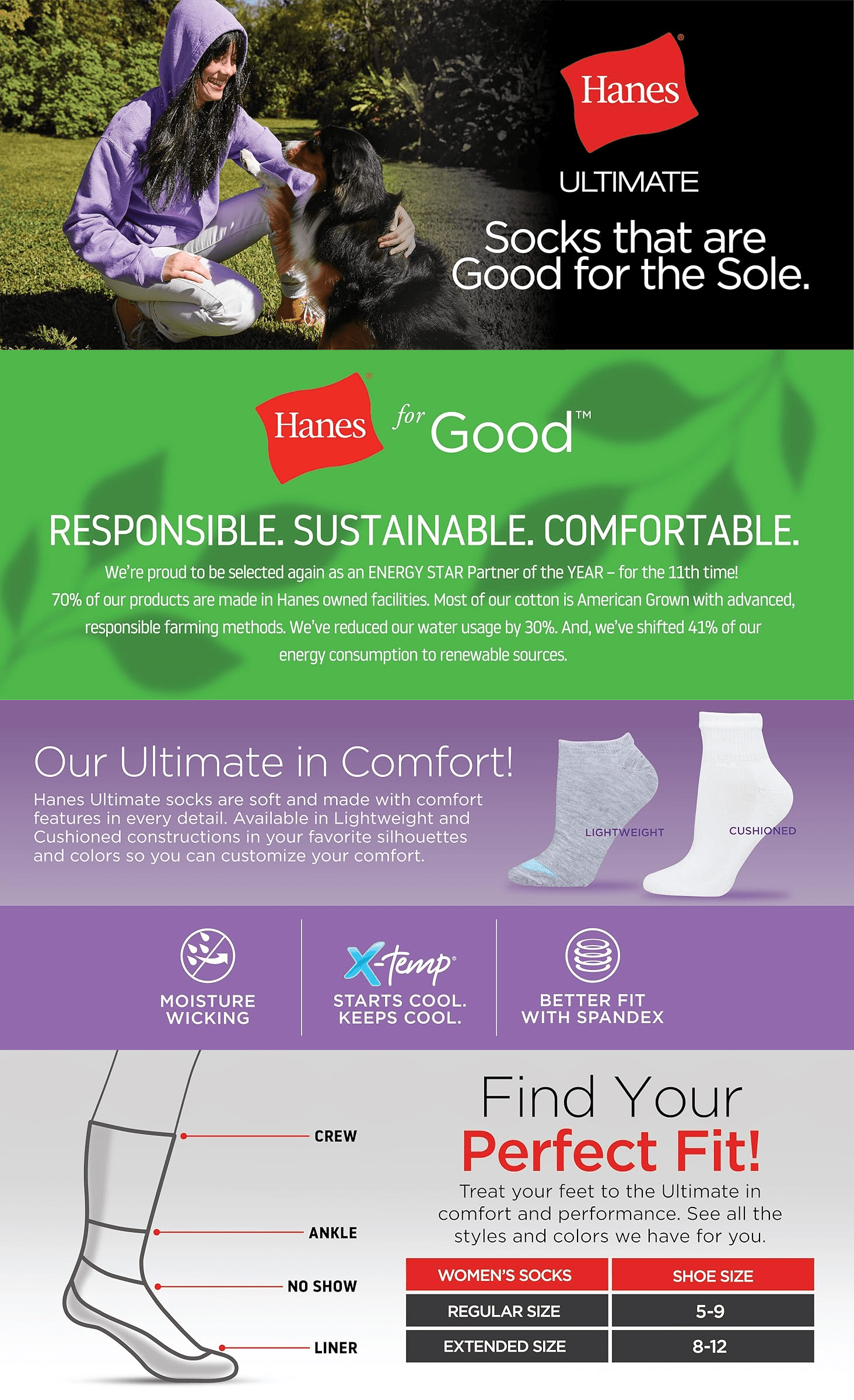 Amazon.com: Hanes Ultimate womens 6-pack Ankle athletic socks: A+ Premium