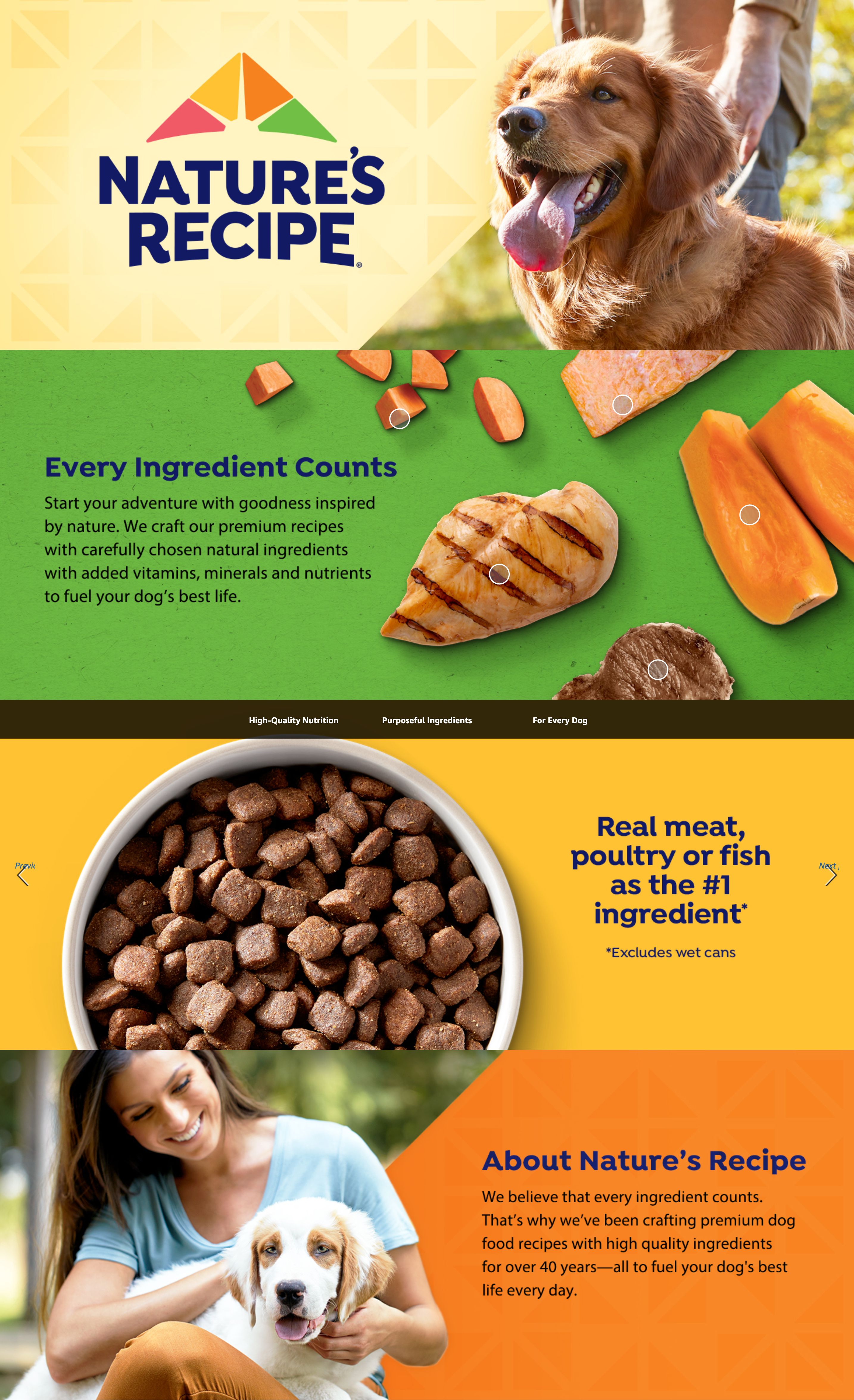 A+ Premium for Amazon.com: Nature’s Recipe Grain Free Salmon