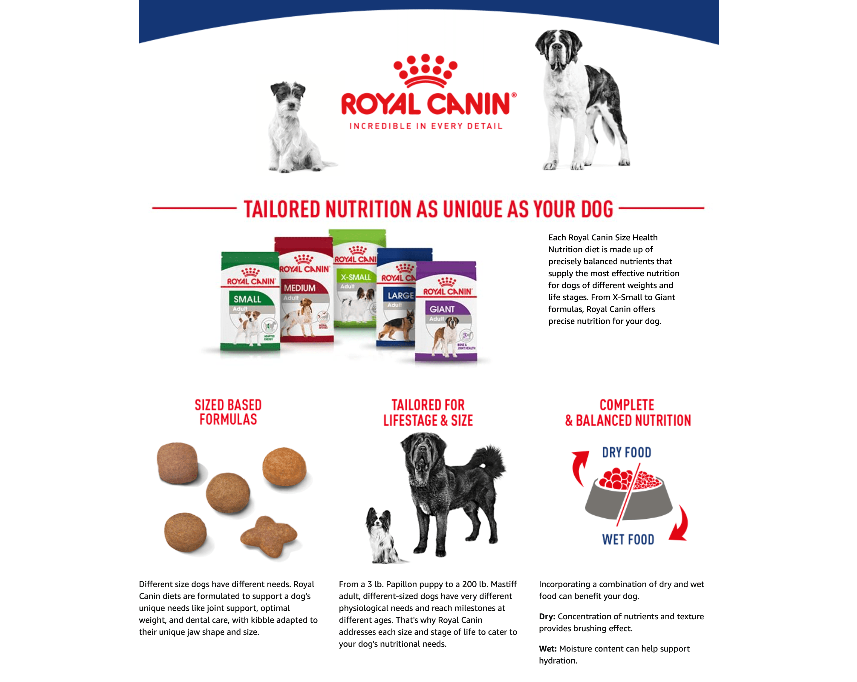A+ Premium for Amazon.com: Royal Canin Size Health Nutrition Small Adult Dry Dog Food