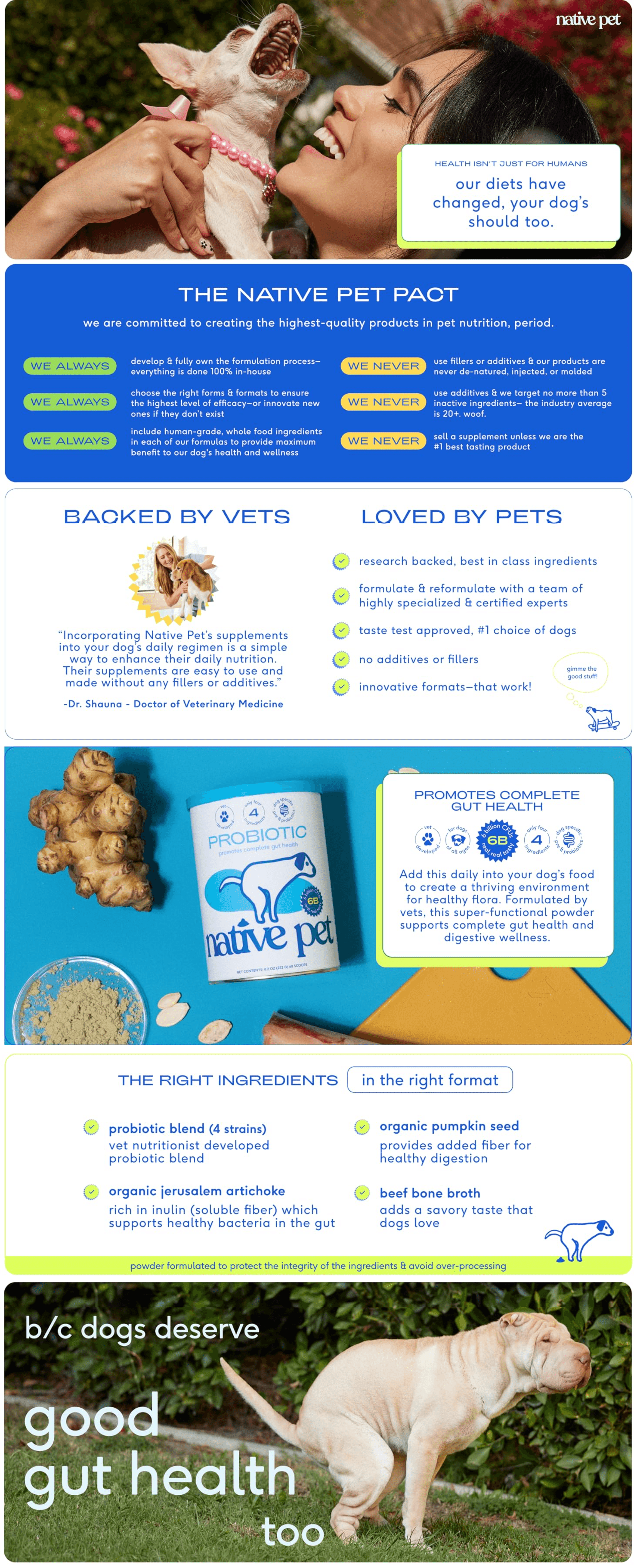 A+ Premium for Amazon.com : Native Pet Probiotics for Dogs