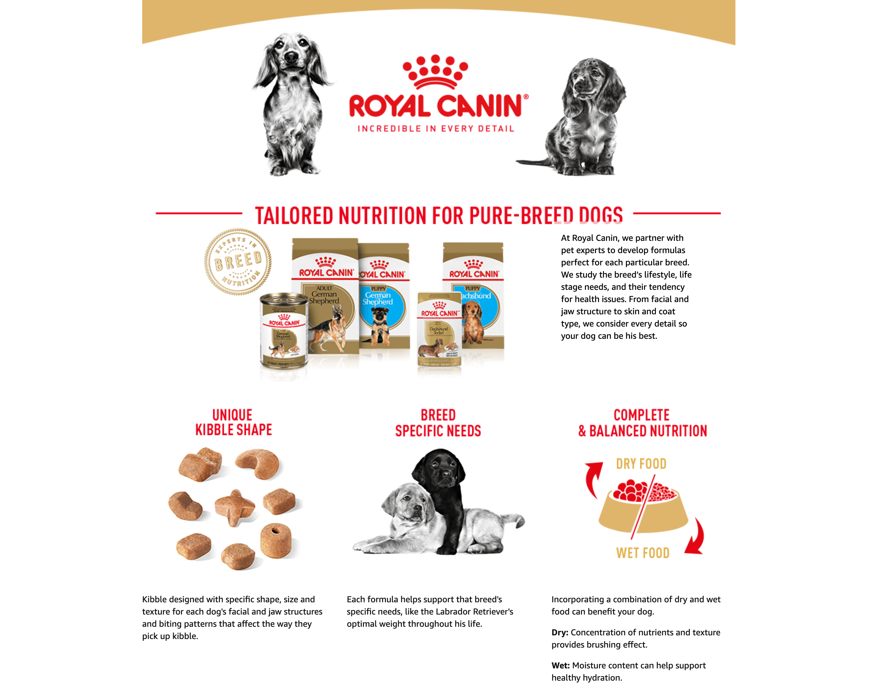 Amazon.com: Royal Canin Golden Retriever Adult Dry Dog Food: A+ Premium