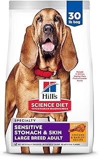 Amazon.com : dog: Hero Images