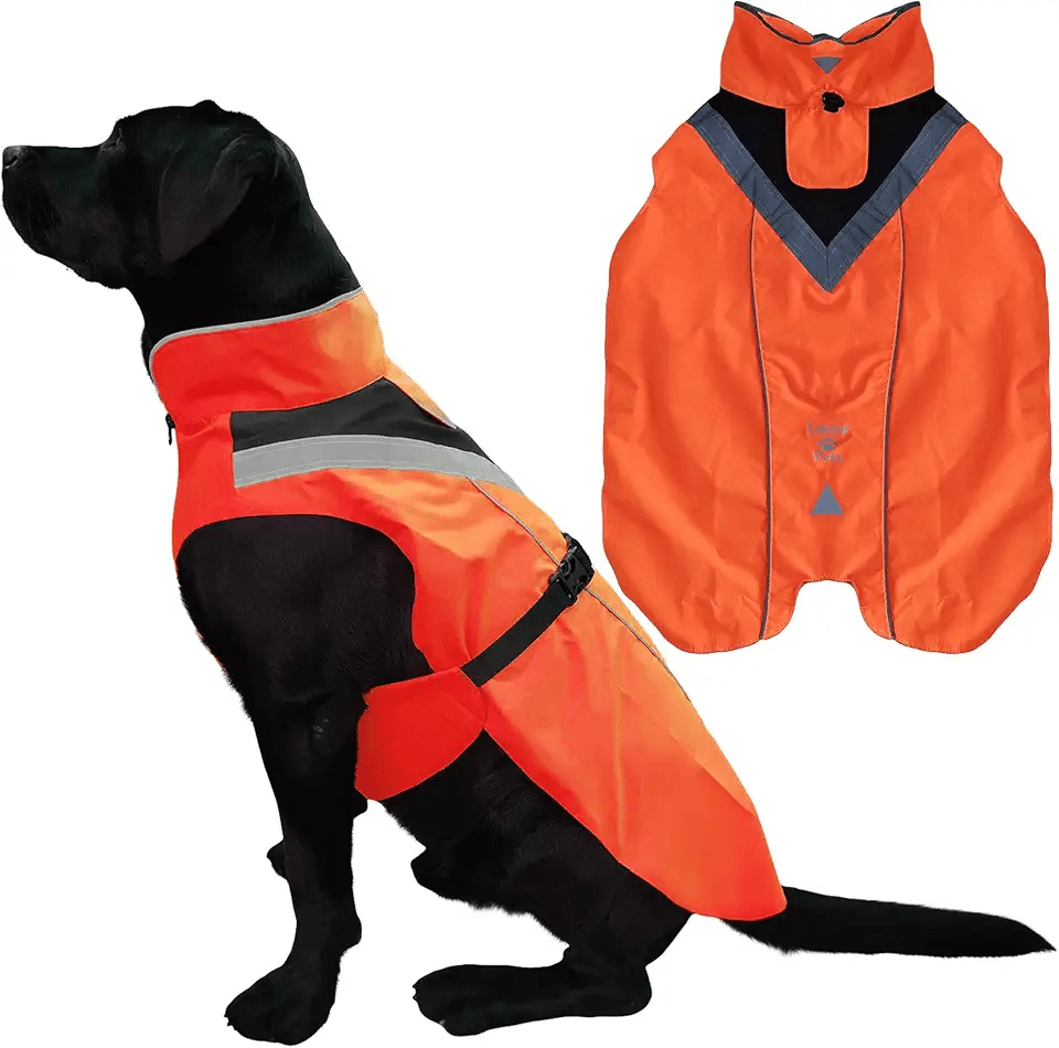 Lautus Pets Dog Rain Coat: Hero Images