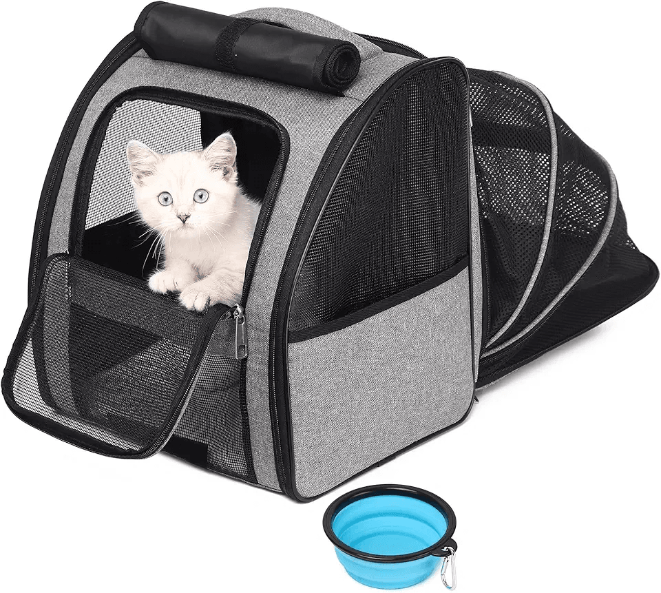 SUPERBE Cat Backpack Carrier: Hero Images