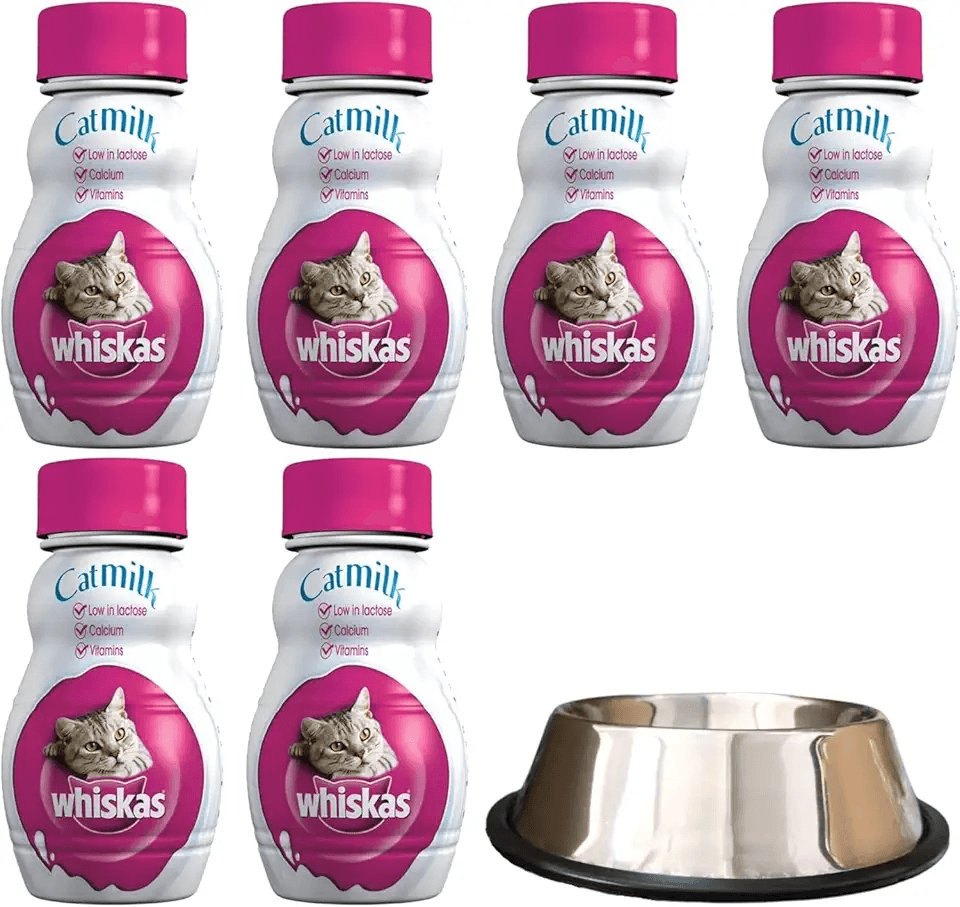 Cat Milk 6 x 200ml bundled with Slip-proof Cat Bowl with Imprint: Hero Images