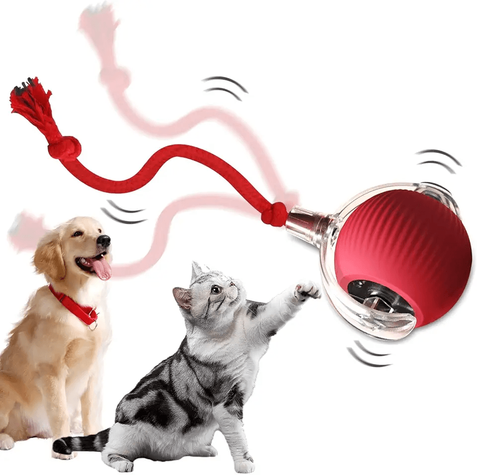 LuGirlre Cat Ball Toy 2025 Upgraded Interactive: Hero Images