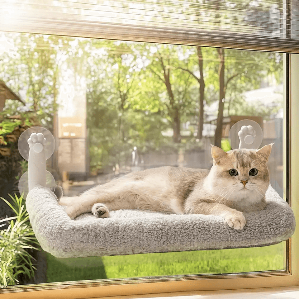 MEWOOFUN Cat Window Bed Hammock for Indoor Cats: Hero Images