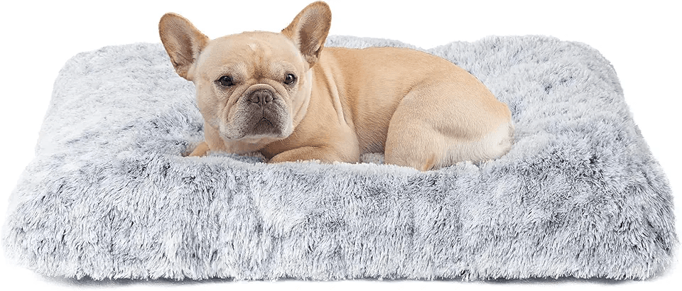 EHEYCIGA Calming Dog Bed Medium: Hero Images