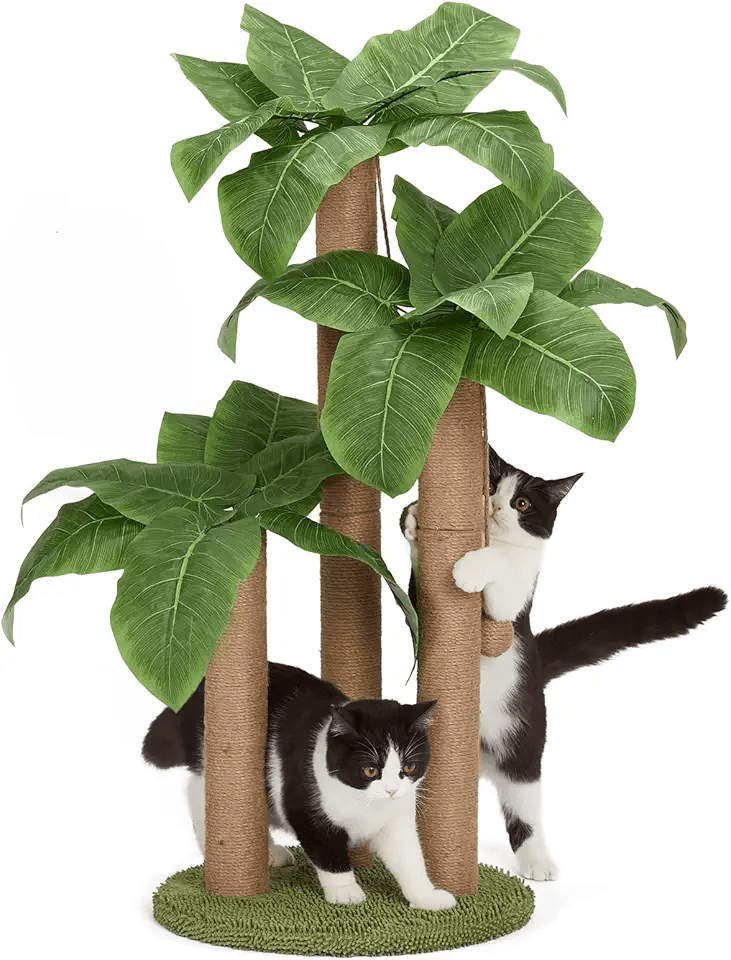 31.5Inch Cat Scratching Post: Hero Images