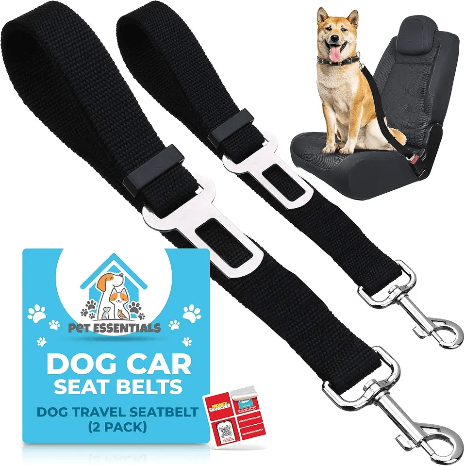 SOL 2pk Dog Car Seat Belts: Hero Images