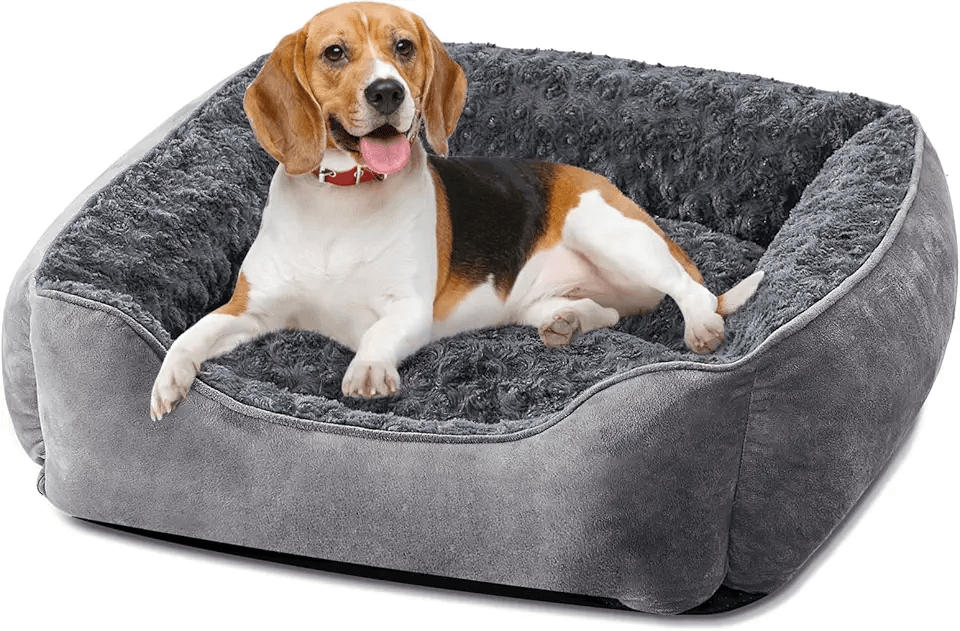 JOEJOY Dog Bed Medium: Hero Images