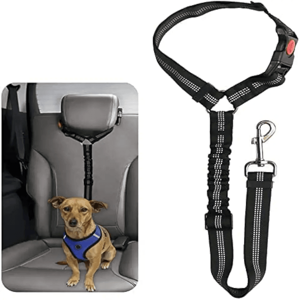 Dog Seat Belts For Cars: Hero Images