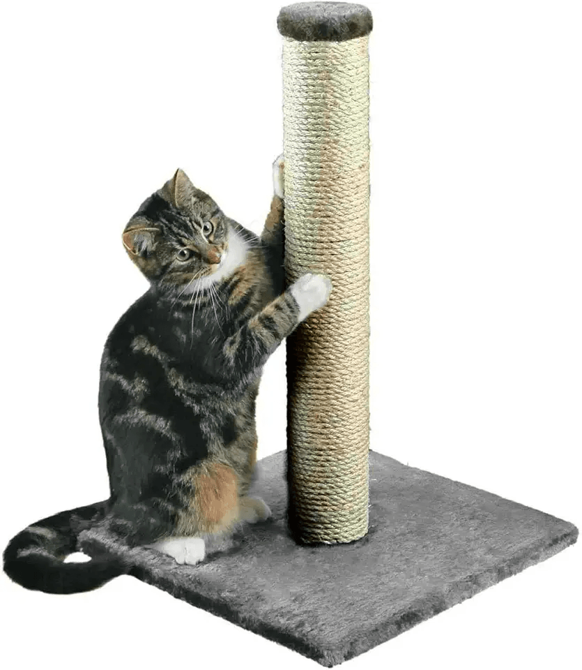 Cat Scratching Post Modern cat furniture Cat scratch tower Stable and Strong Vertical…: Hero Images