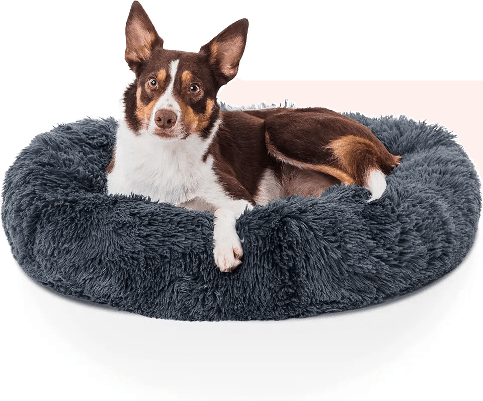 Woof & Whiskers Donut Beds For Dogs Grey Dog Bed 70cm Donut Bed Calming Dog Beds Round…: Hero Images