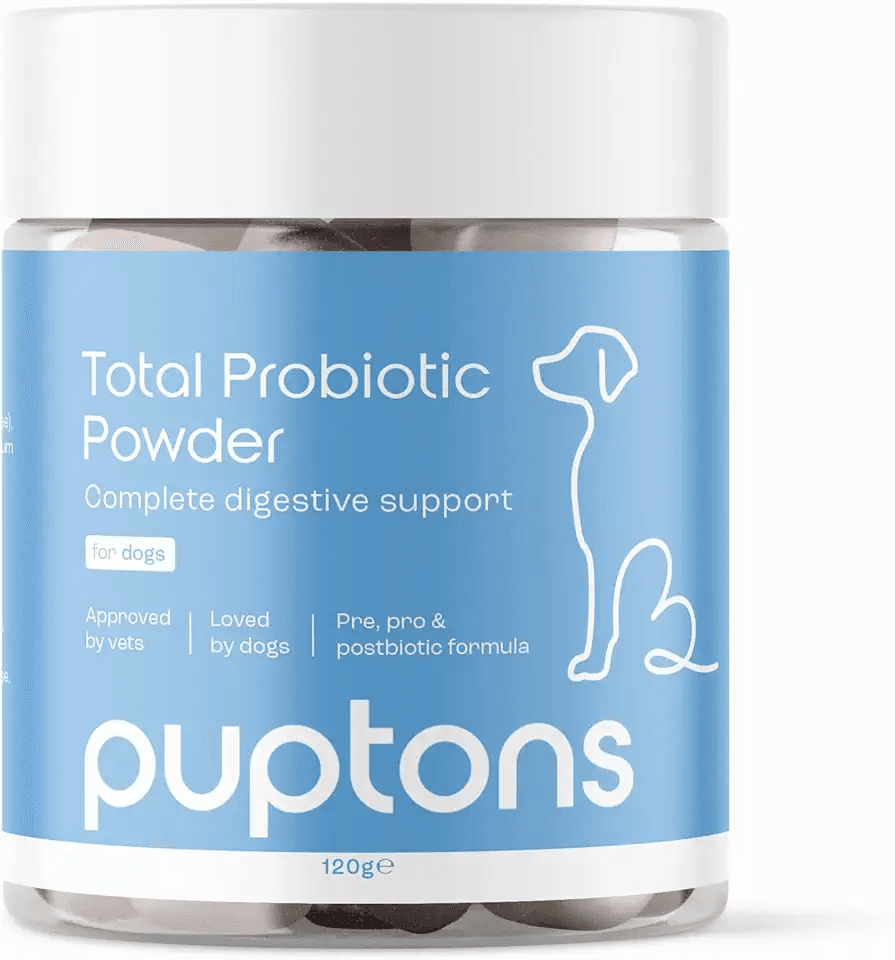 Probiotic Powder for Dogs: Hero Images