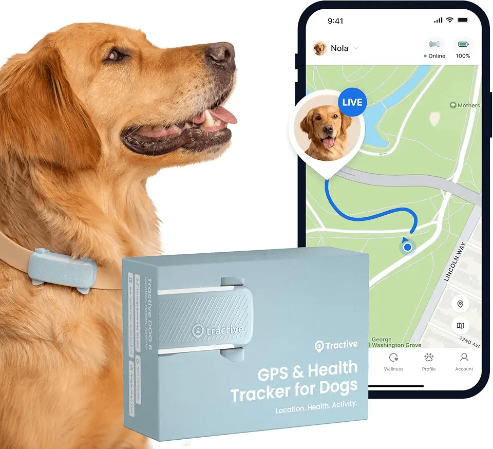 Tractive GPS Dog Tracker: Hero Images