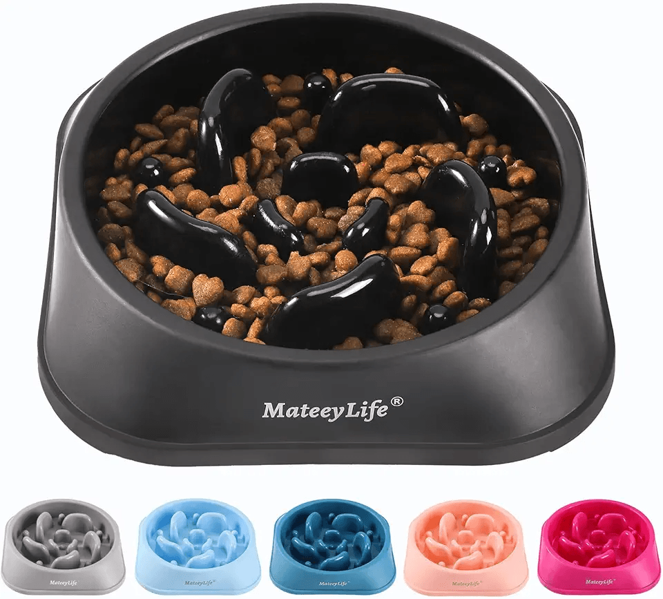 MateeyLife Dog Bowls: Hero Images