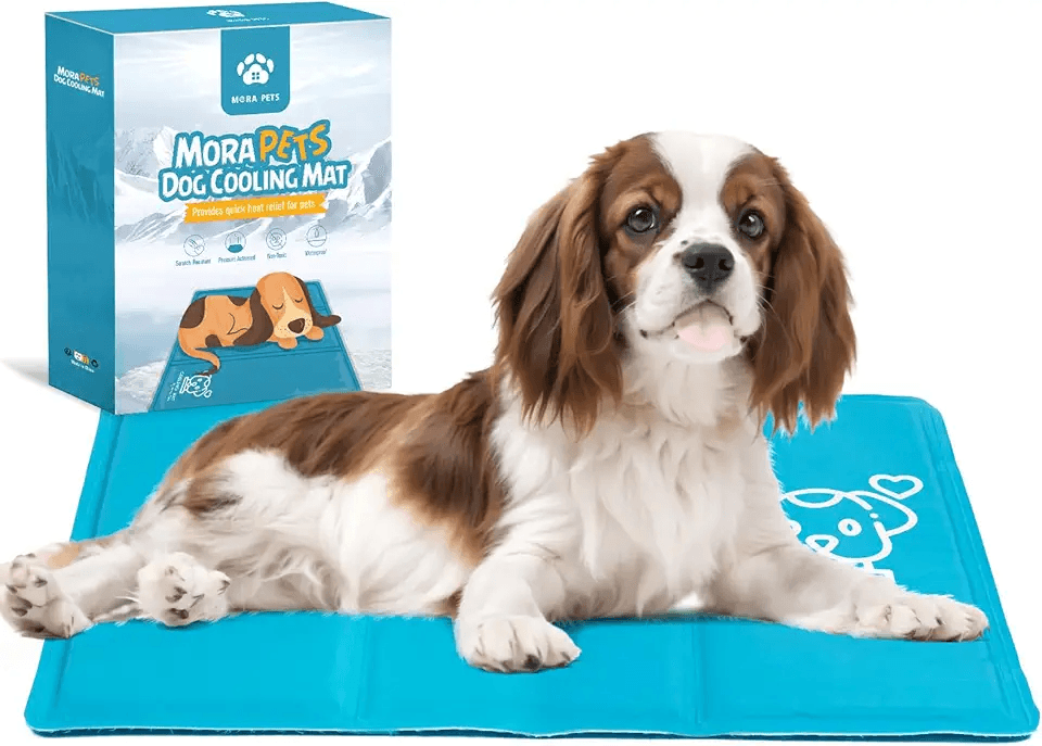 Dog Cooling Mat: Hero Images