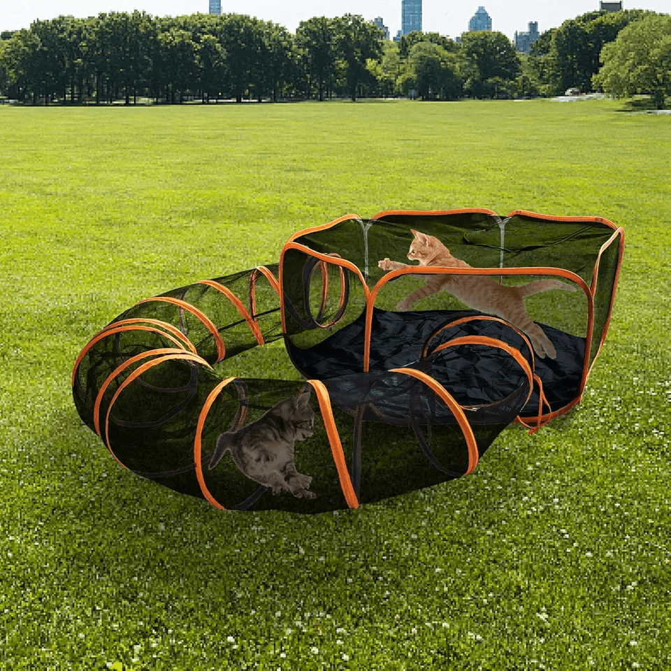 Keyzone Cat Enclosures for Outside: Hero Images