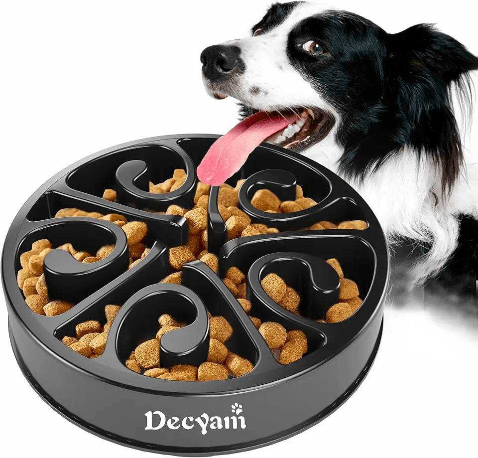 Decyam Slow Feeder Dog Bowl Slow Eating Dog Bowl Pet Puppy Fun Puzzle Feeder Non Skid…: Hero Images