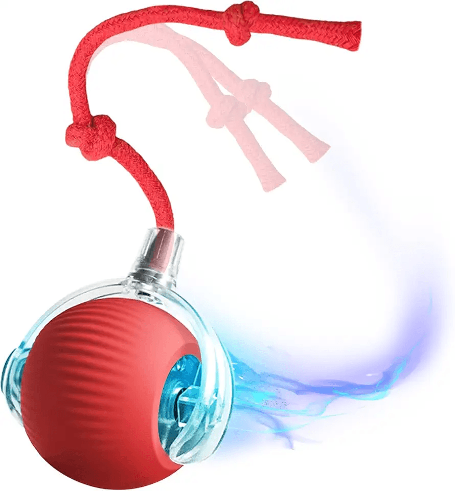 BCYPMYC Interactive Cat Toy Cat Ball Toy USB Rechargeable Self-MovingBall Stimulate…: Hero Images