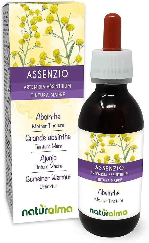 Absinthe or Grand Wormwood (Artemisia Absinthium) herb with Flowers Alcohol-Free Mother…: Hero Images