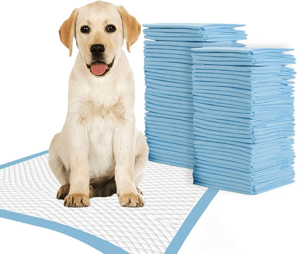 TBM Puppy Pads Large Size Pack of 50 60 x 60 Super Absorbent Puppy Training Pads Anti…: Hero Images