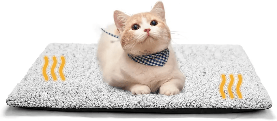 MORA PETS Self Heating Cat Bed Heated Cat Blanket Self Warming Pet Pad Thermal Pet Mat…: Hero Images