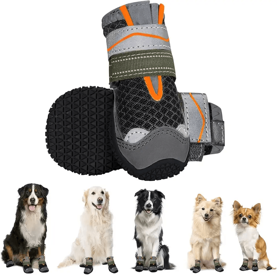 Eyein Dog Boots Paw Protector: Hero Images