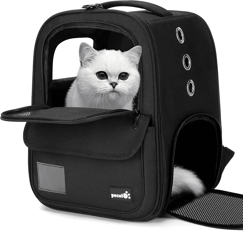 pecute Cat Carrier Backpack: Hero Images