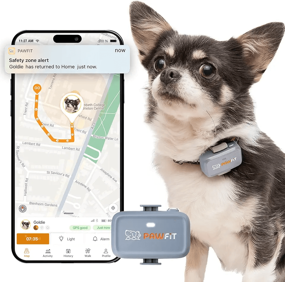 Pawfit Lite for Small Dogs 4g GPS Tracker: Hero Images