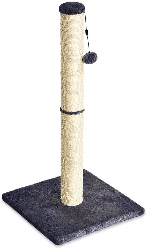 Amazon Basics Cat Scratching Post for Indoor Cats: Hero Images