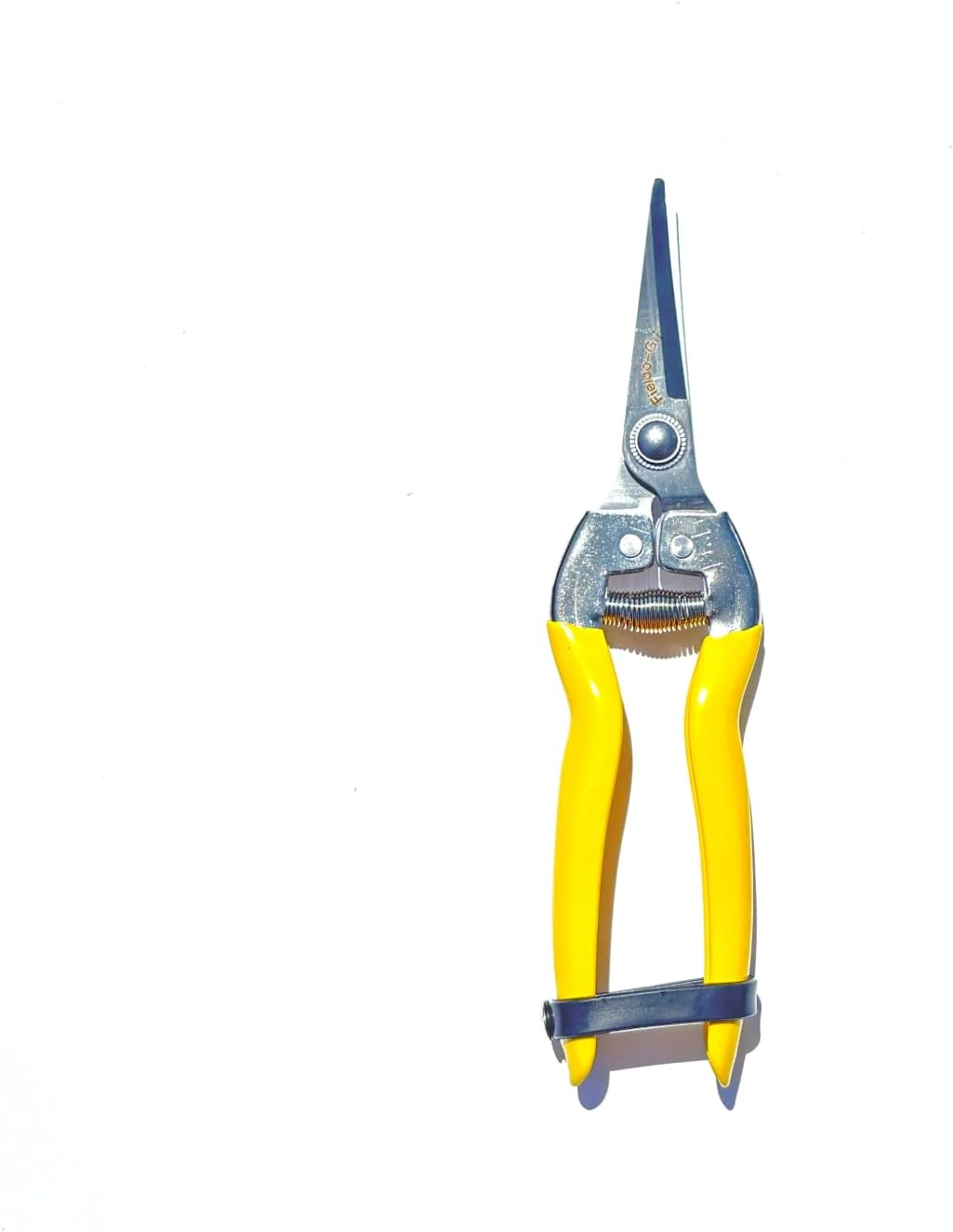 Showcases the product clearly against a white background, allowing customers to see the design and features of the pruning shears.
