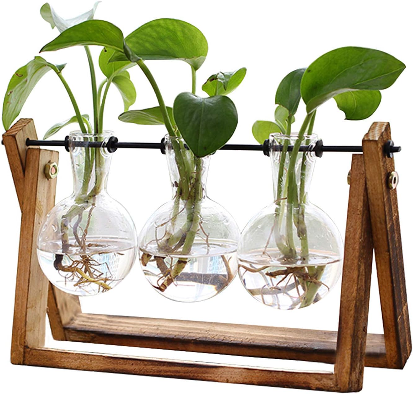 Showcases the product's design and functionality as a decorative plant propagation station. Demonstrates how the product can be used to display and grow plants as an attractive home accessory.