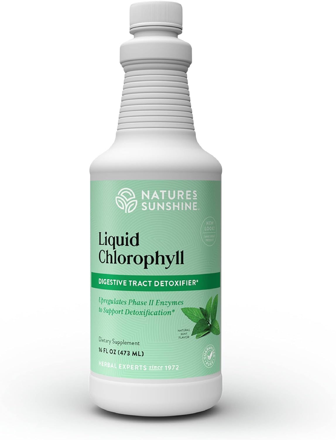 Showcases the product bottle clearly to highlight the liquid chlorophyll supplement and its digestive health benefits.