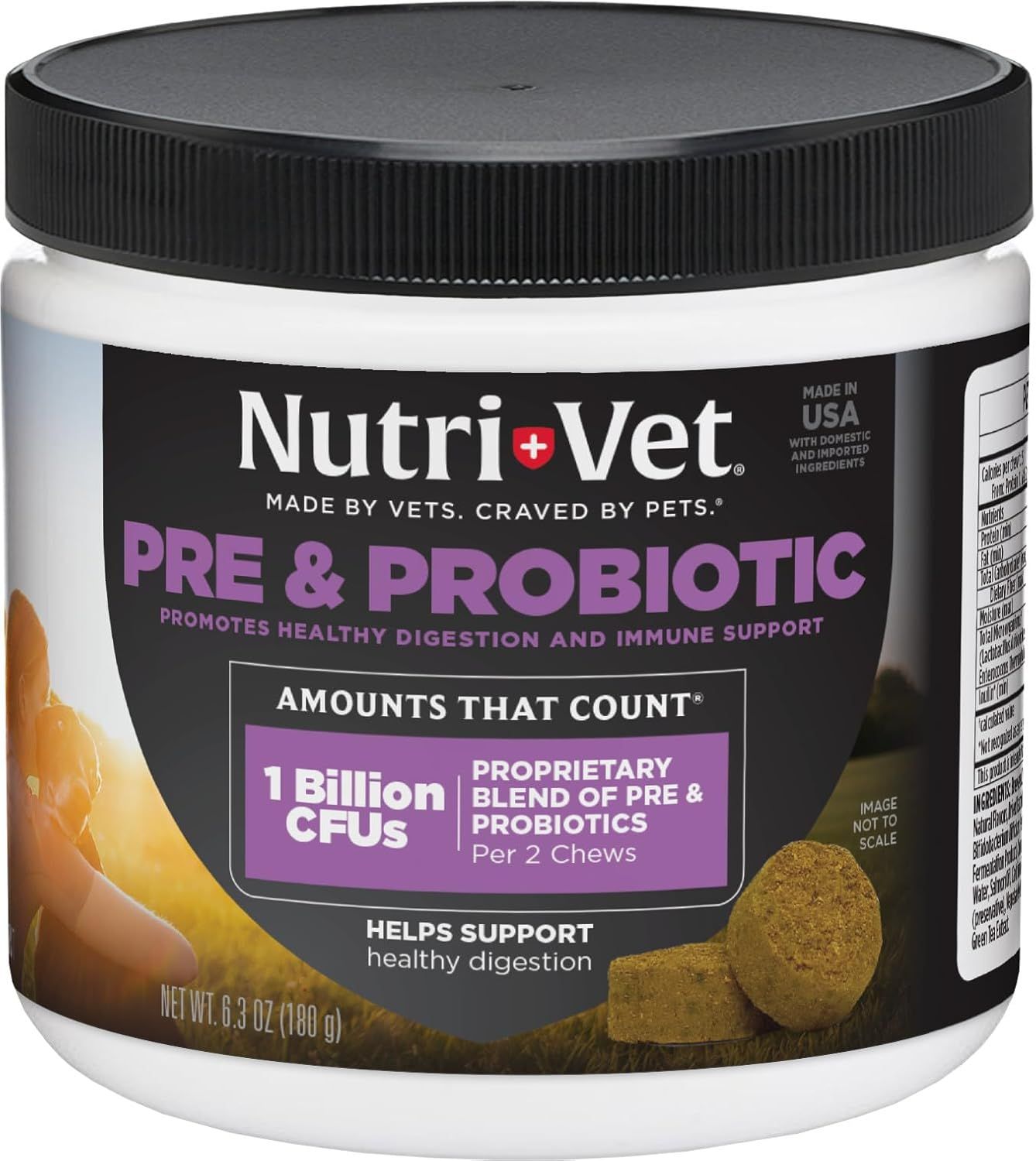 Shows the core product—a jar of Nutri-Vet Pre & Probiotic pet supplement—clearly displaying the brand, product type, and key benefit (1 Billion CFUs for healthy digestion and immune support) to help…