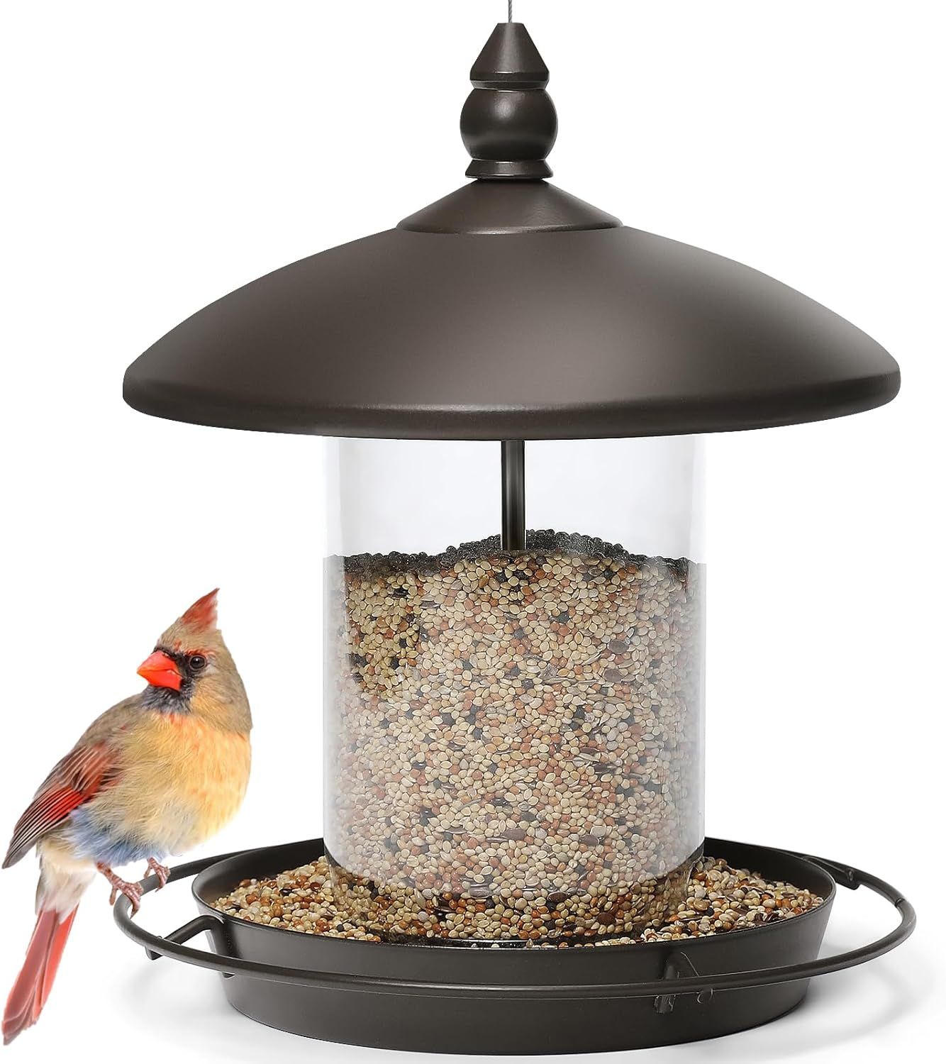 Shows the core product, a hanging bird feeder with a clear seed reservoir and protective roof, demonstrating its design and capacity to attract birds. Features a cardinal perched on the feeder to…