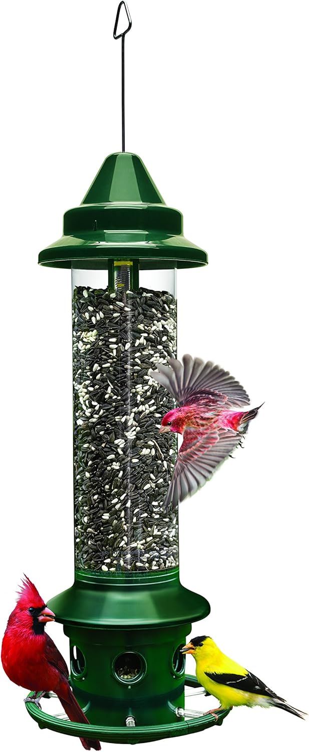 Shows the core product, a hanging bird feeder filled with seed, to communicate its design and functionality for attracting wild birds. Uses added birds (cardinal, finch, and flying bird) as visual…