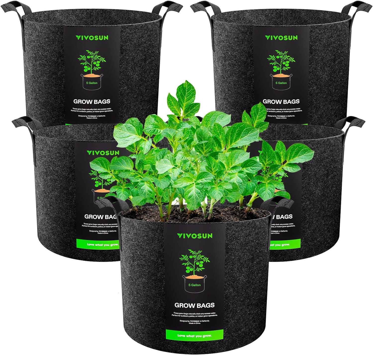 Shows the core product (5-gallon grow bags) as a multi-pack set with a live plant demonstration to communicate what the product looks like and how it functions for growing plants. Demonstrates the…