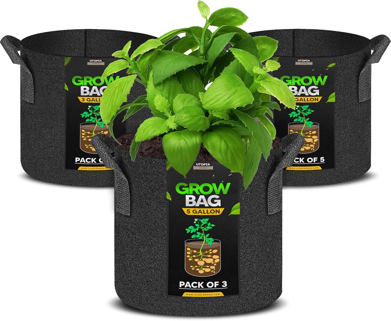 Shows the core product (grow bags) in multiple sizes as a multi-pack set, with a live plant demonstration to illustrate the product in use and its gardening application. Displays the branded labels…