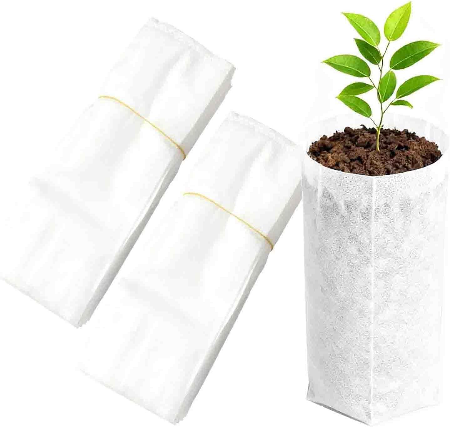 Shows the core product—biodegradable plant grow bags—both rolled and in use with a planted seedling to communicate their purpose and eco-friendly nature. Demonstrates how the bags function by…