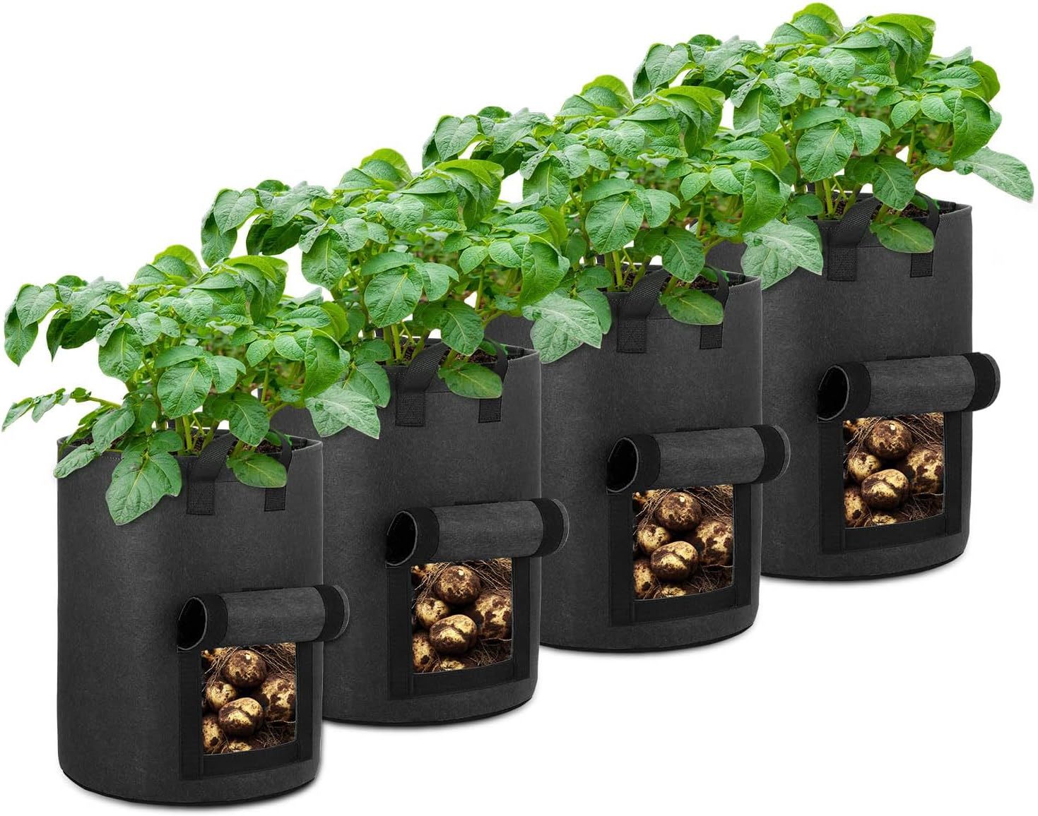 Shows the core product—a set of four potato grow bags with visible harvest windows and thriving plants—to communicate what the buyer receives and how the product looks in use. Demonstrates the…
