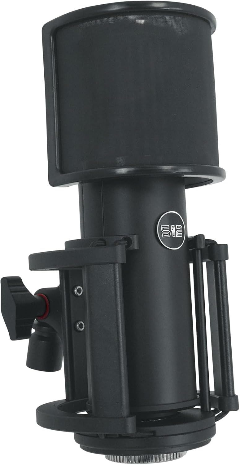 Displays the core product clearly on a white background to show the microphone's design, build quality, and included pop filter attachment for professional audio recording.