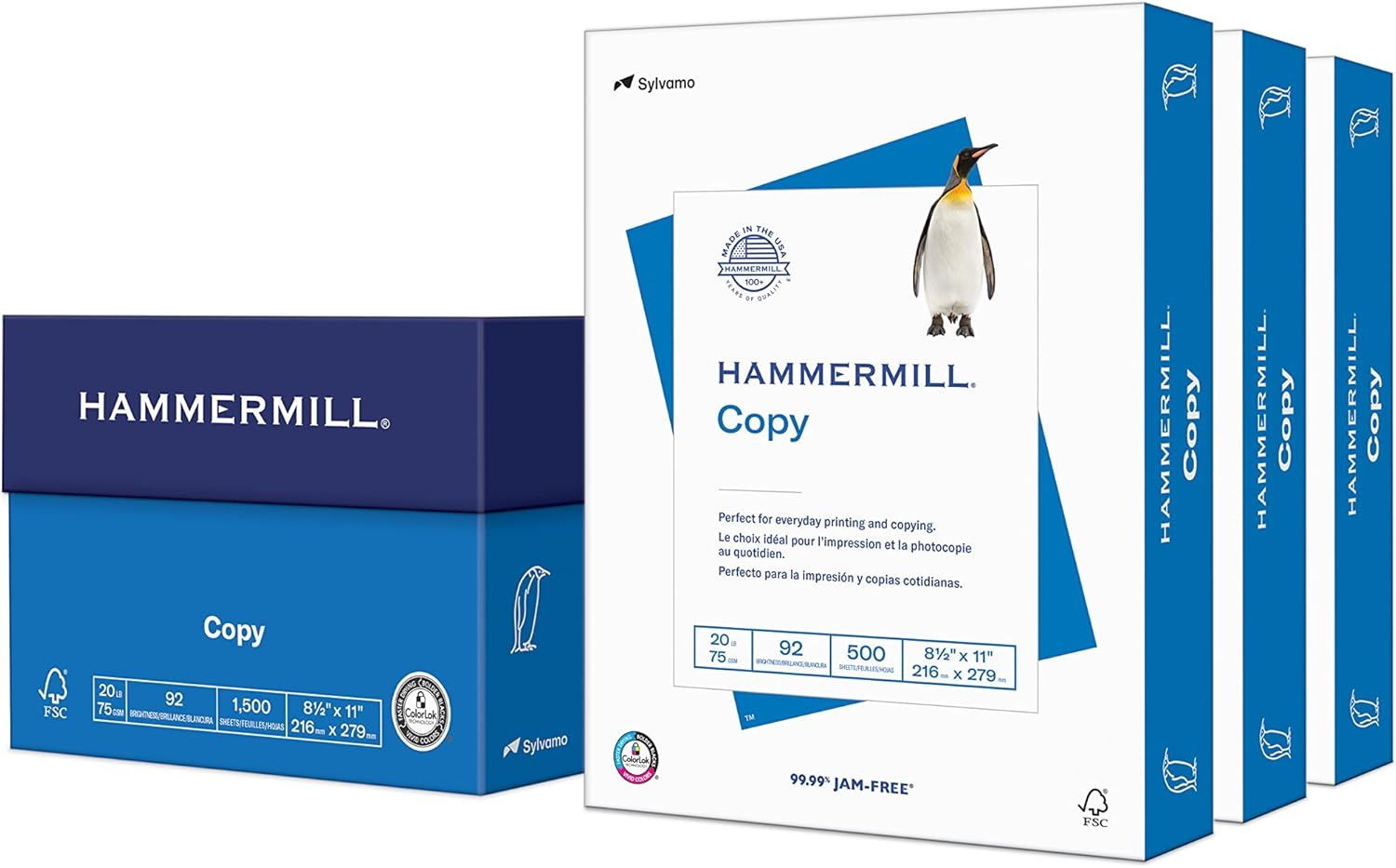 Shows the core product - Hammermill Copy paper - in both individual ream packaging and case box format to communicate what the buyer will receive. Displays the actual retail packaging including the…