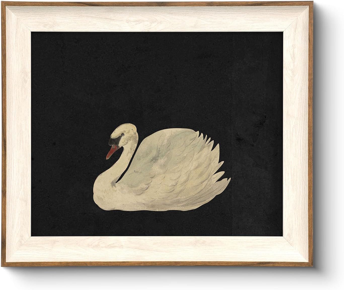 Displays the core product—a framed art print featuring a swan illustration on a dark background—to show shoppers exactly what they will receive. Uses a black background to create dramatic contrast…