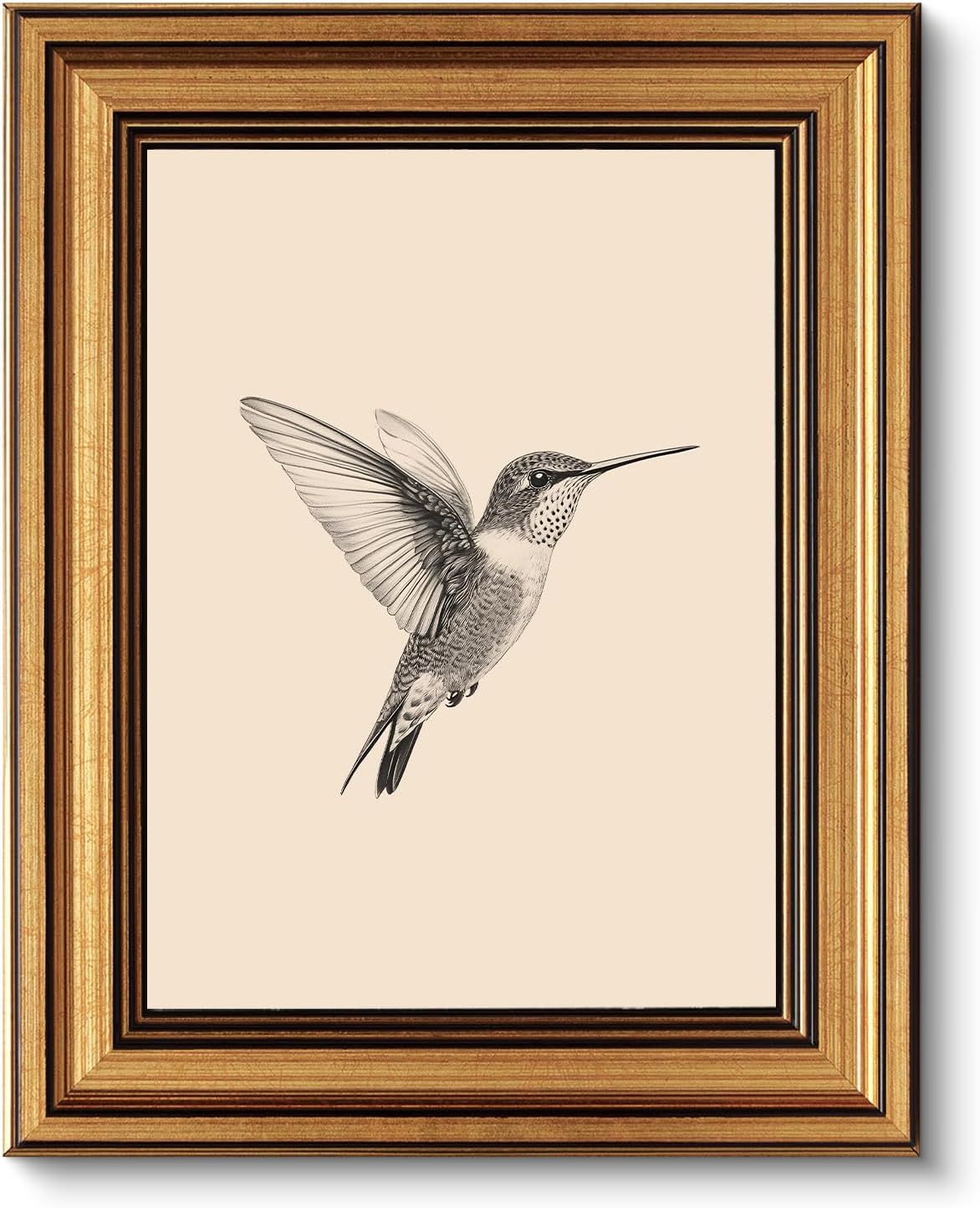 This appears to be a framed art print or decorative wall art featuring a hummingbird illustration, not a typical Amazon product hero image showing a sellable item in catalog format.
