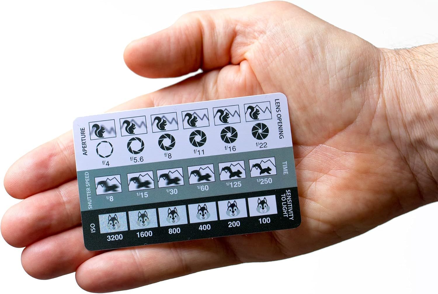 Shows a person holding the camera reference card to demonstrate its compact, pocket-sized scale and portability for photographers in the field. Demonstrates how the card functions as a visual…